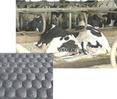 Черные текстуры резиновых стабилизированных циновок лошади/коровы переменные на верхней части 3mm толщиной MIN.